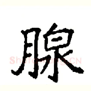 腺