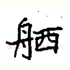 舾