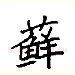 藓