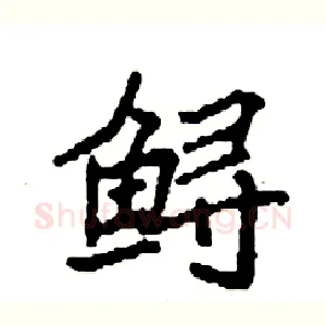 鲟