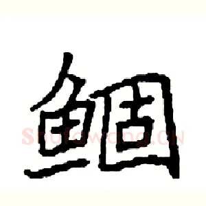 鲴