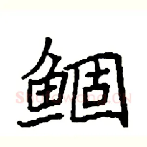 鲴
