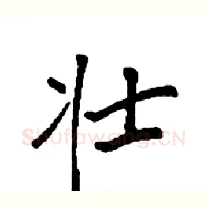 壮