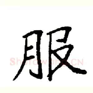 服