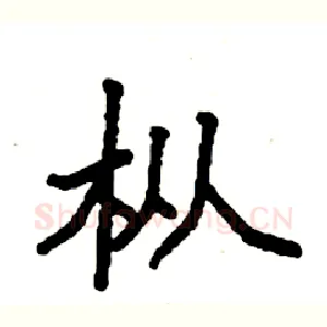 枞