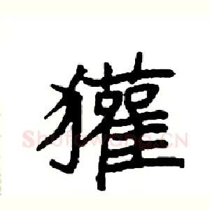 獾