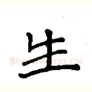 生