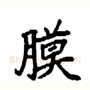 膜