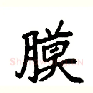 膜