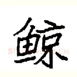 鲸
