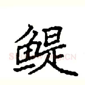 鳀