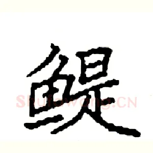 鳀