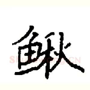 鳅