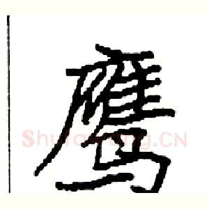 鹰
