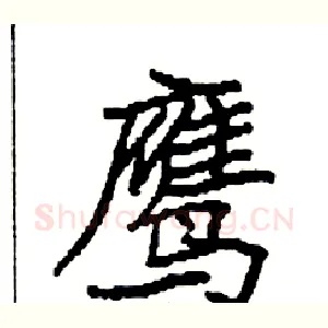 鹰