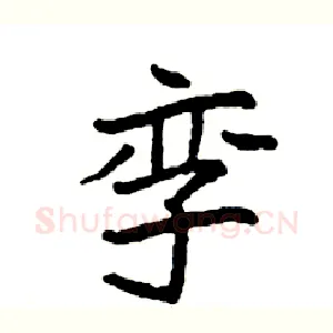 孪