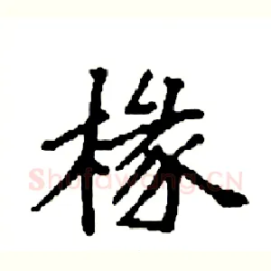 椽