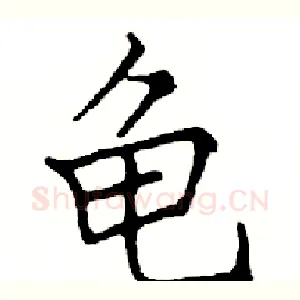 龟
