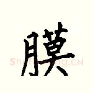膜