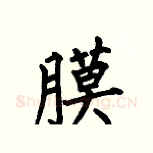 膜