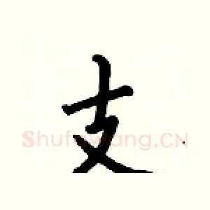 支