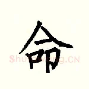 命