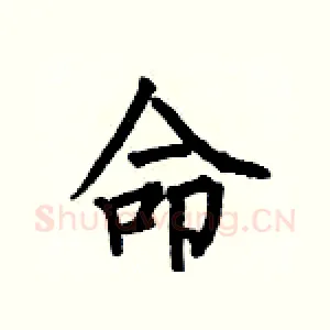 命