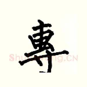 專