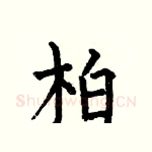 柏