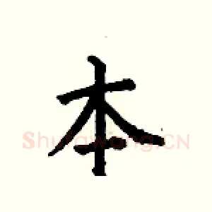 本