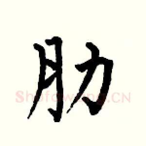 肋