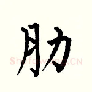 肋