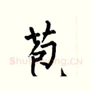 苞