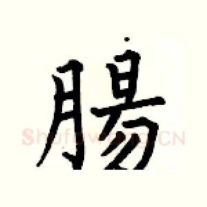 腸