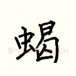 蝎