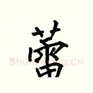 蕾