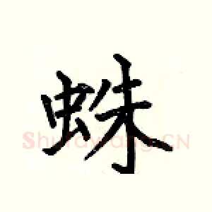 蛛