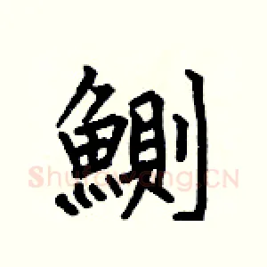 鰂