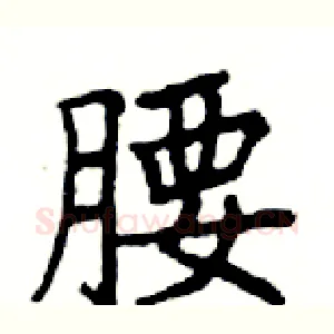 腰