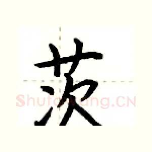 茨
