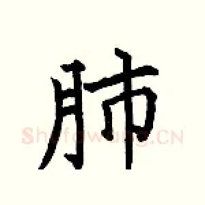 肺