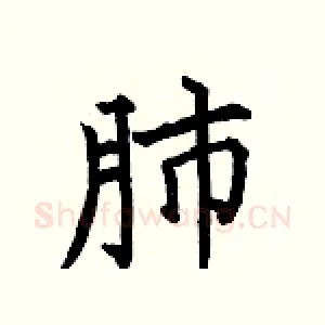 肺