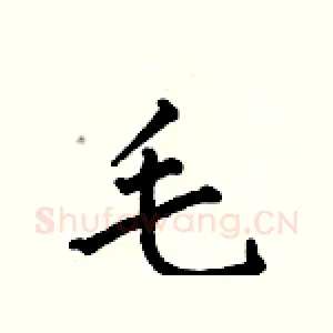 毛