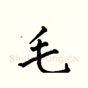 毛