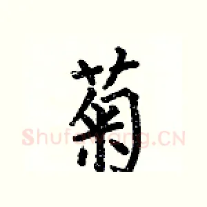 菊