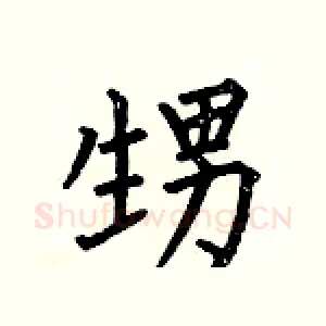 甥