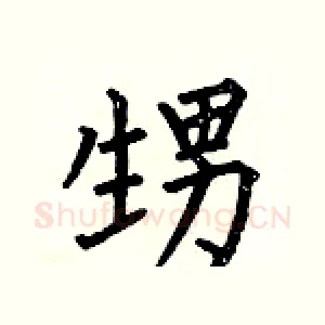 甥