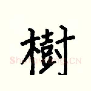 樹