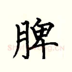 脾