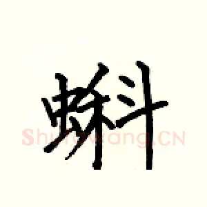 蝌